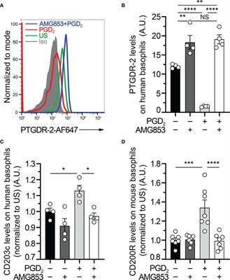 AMG853, A Bispecific Prostaglandin D2 Receptor 1 and 2 Antagonist, Dampens Basophil Activation and Related Lupus-Like Nephritis Activity in Lyn-Deficient Mice